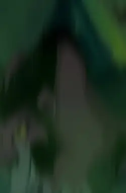 Scar