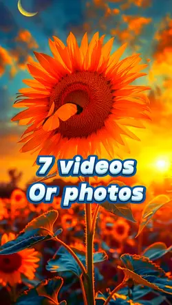 7 videos trend