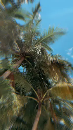 2Vids Ripple Distort