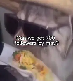 Soft taco meme