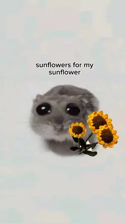 🌻