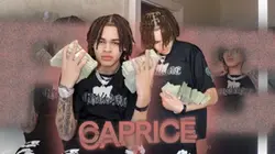 CAPRI INTRO TEMPLATE
