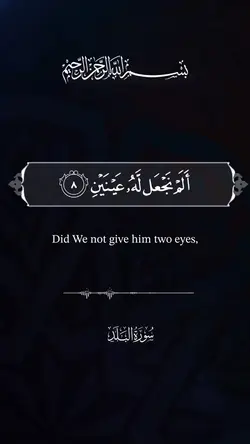 سورة البلد 
