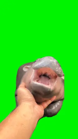 Moo Deng Baby Hippo