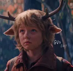 Gus 🫶