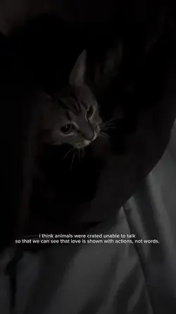 Animals