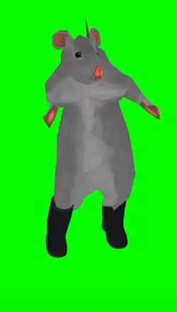 rat dance