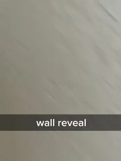 wall reveal
