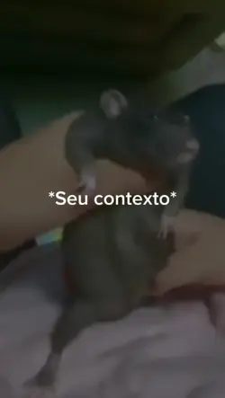 Legendas editáveis!