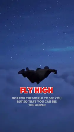 Fly high 
