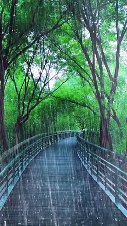 Rain