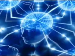 Big brain moment 