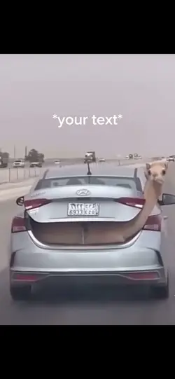 Road trip