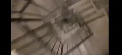 noclip