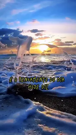 Pensamento do dia 
