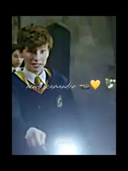 newt scamander 🦡💛