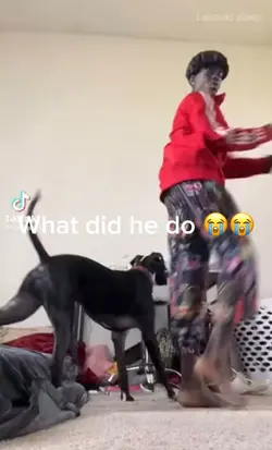 What did bro do😭😭