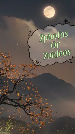 7photos/videos
