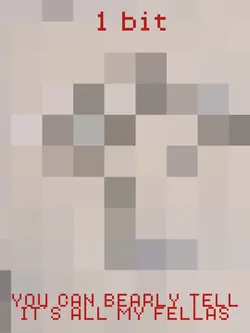 fellas 1-6 bits