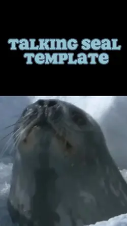 Seal Talk Template