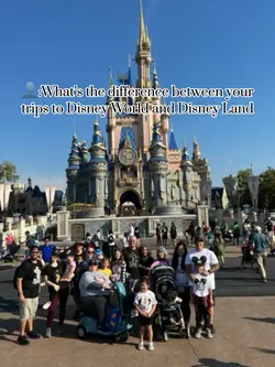 Disney World & Land