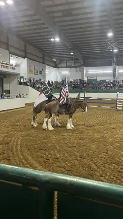 THIS MARE😻😻