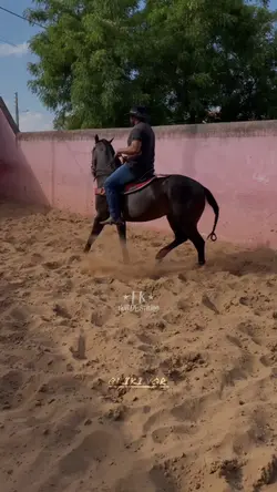 Vc a Arrumou a mala 