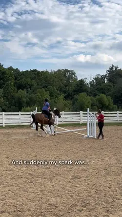 My spark was… 