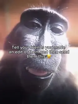 Monkey edit