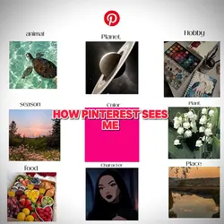 how Pinterest see me