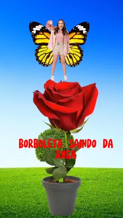 BORBOLETA