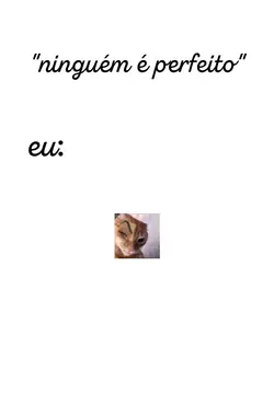 "ninguém é perfeito"
