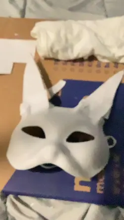 Theiran mask!