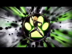 Cat noir 