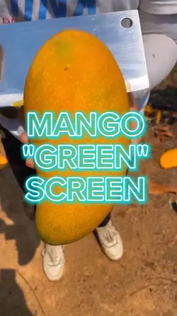 Mango Green Screen 