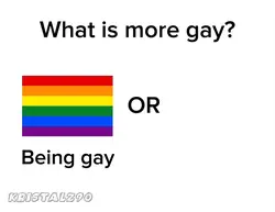 What is more gay?
