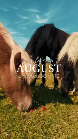 life in august