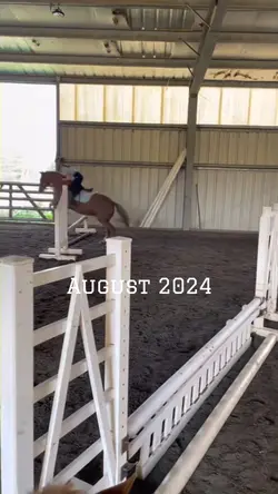 August 2023 vs 2024