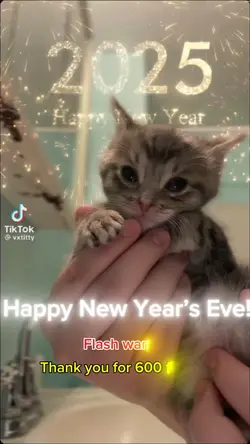 HAPPY NEW YEARS EVE