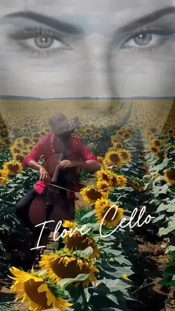 Cello dreaming filed