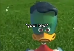 Duck