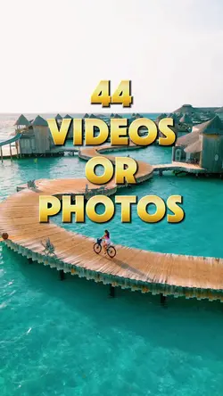 44 videos vlog 