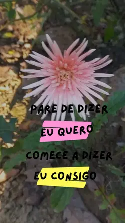 frase