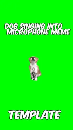 Dog singing meme 