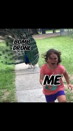 Bomb Drone Chase