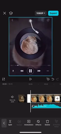 Free audio tutorial!