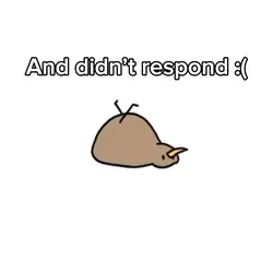 Kiwi bird on read 