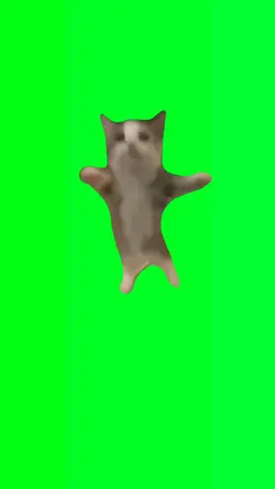 Happy Cat Meme