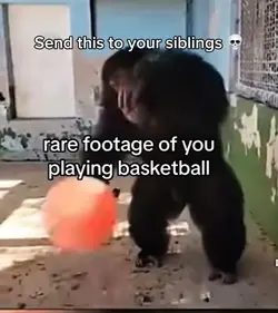 Monkey bball