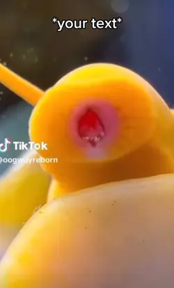 Orange thing 